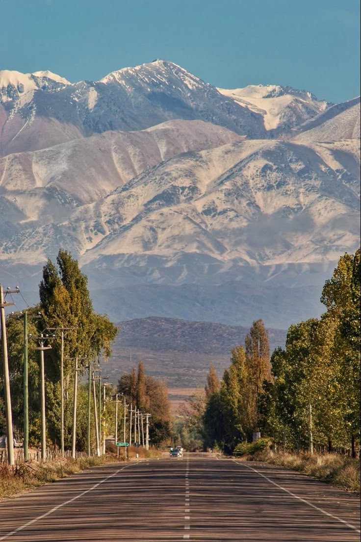 Patagonia Austral y Vinos de Altura — foto 5