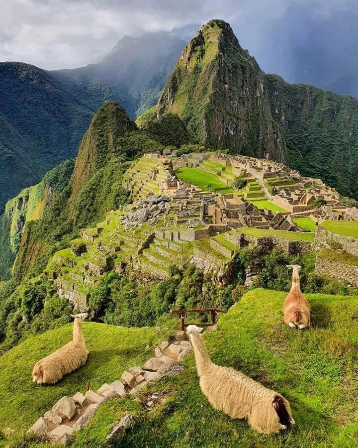 Perú: Imperio Inca y Alta Gastronomía