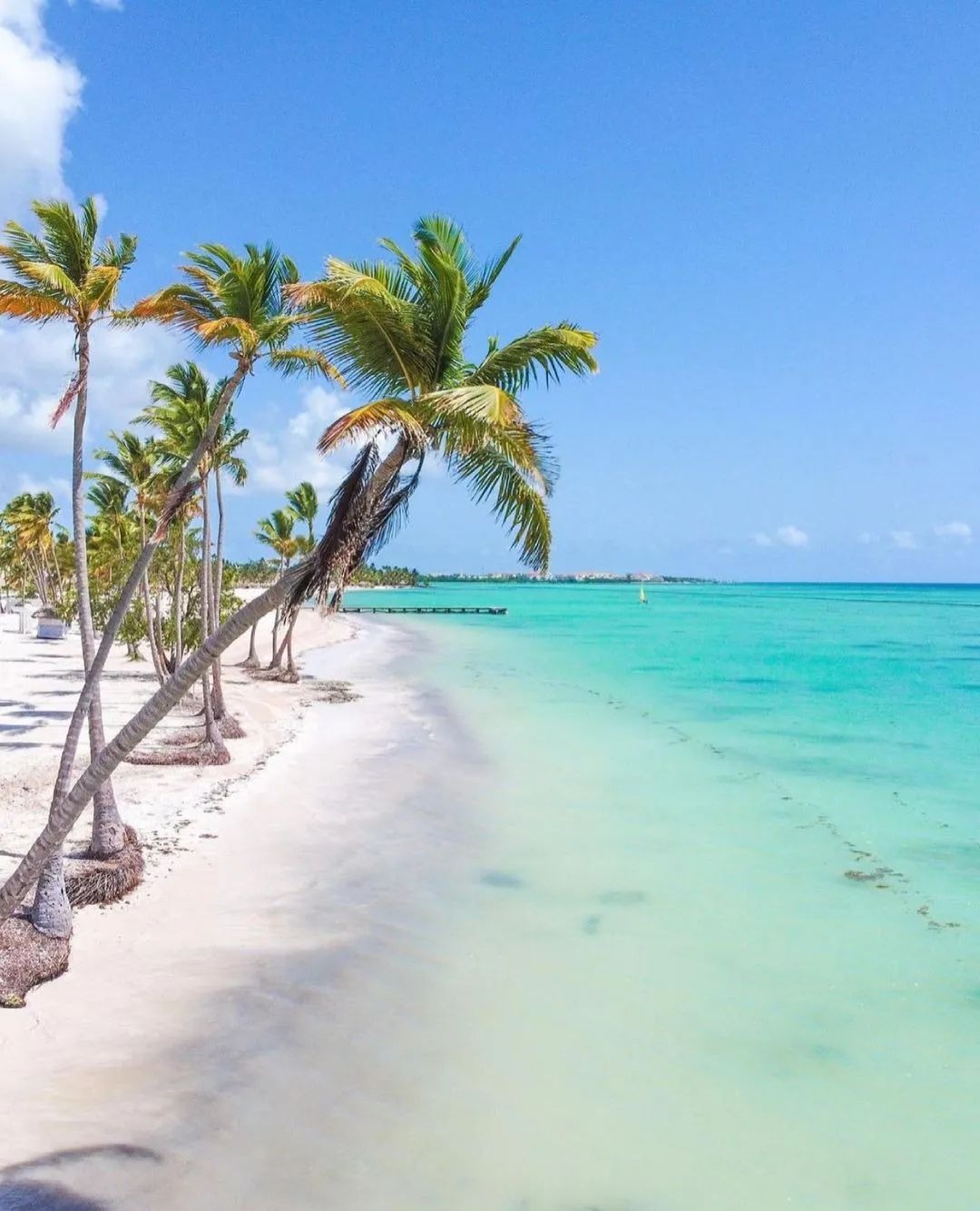 Con Sabor a Punta Cana